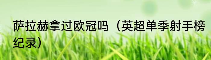 萨拉赫拿过欧冠吗（英超单季射手榜纪录）