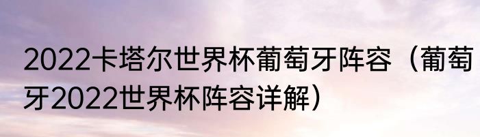 2022卡塔尔世界杯葡萄牙阵容（葡萄牙2022世界杯阵容详解）
