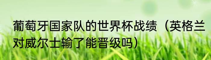 葡萄牙国家队的世界杯战绩（英格兰对威尔士输了能晋级吗）