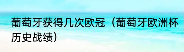 葡萄牙获得几次欧冠（葡萄牙欧洲杯历史战绩）