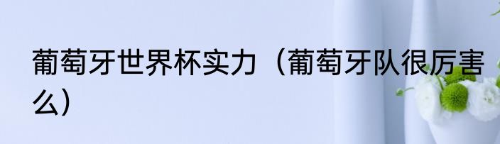 葡萄牙世界杯实力（葡萄牙队很厉害么）