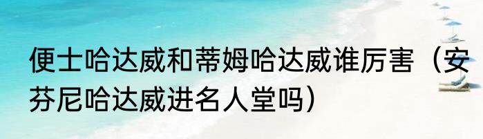 便士哈达威和蒂姆哈达威谁厉害（安芬尼哈达威进名人堂吗）