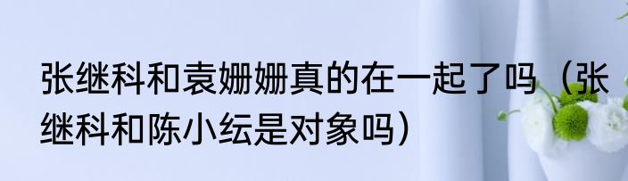 张继科和袁姗姗真的在一起了吗（张继科和陈小纭是对象吗）