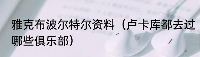 雅克布波尔特尔资料（卢卡库都去过哪些俱乐部）