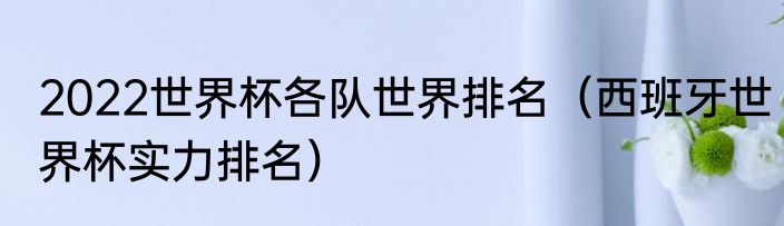 2022世界杯各队世界排名（西班牙世界杯实力排名）