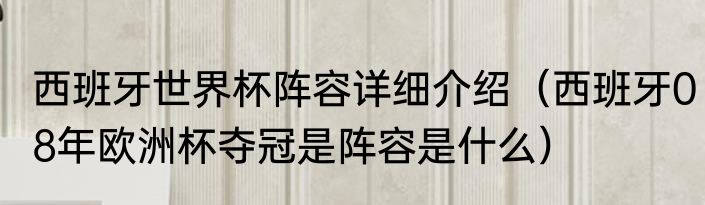 西班牙世界杯阵容详细介绍（西班牙08年欧洲杯夺冠是阵容是什么）