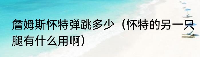 詹姆斯怀特弹跳多少（怀特的另一只腿有什么用啊）