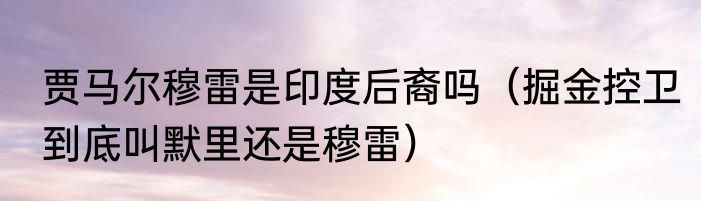 贾马尔穆雷是印度后裔吗（掘金控卫到底叫默里还是穆雷）