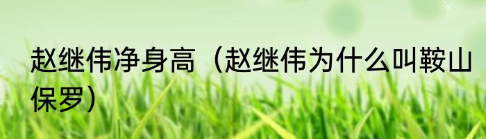 赵继伟净身高（赵继伟为什么叫鞍山保罗）