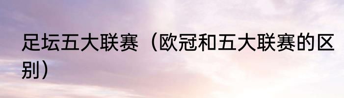 足坛五大联赛（欧冠和五大联赛的区别）