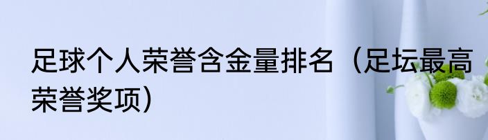 足球个人荣誉含金量排名（足坛最高荣誉奖项）
