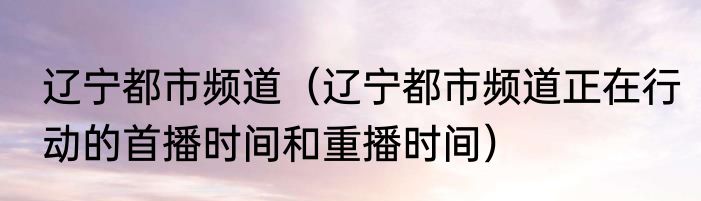 辽宁都市频道（辽宁都市频道正在行动的首播时间和重播时间）