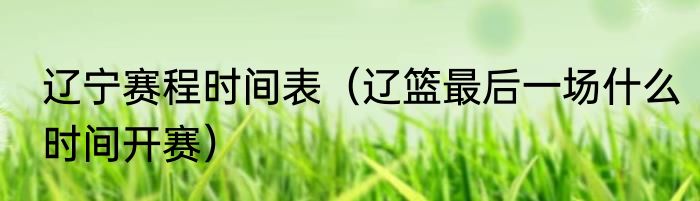 辽宁赛程时间表（辽篮最后一场什么时间开赛）