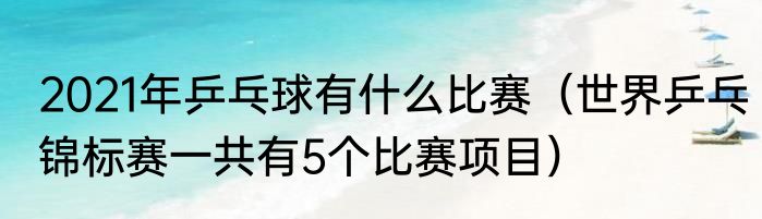 2021年乒乓球有什么比赛（世界乒乓锦标赛一共有5个比赛项目）