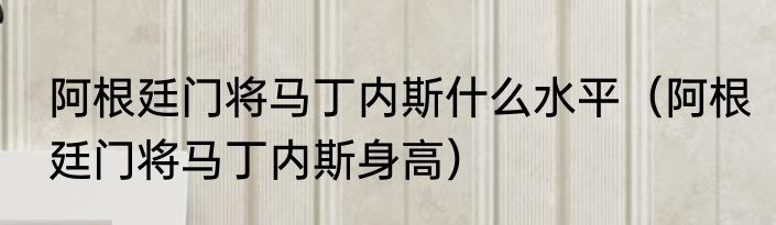 阿根廷门将马丁内斯什么水平（阿根廷门将马丁内斯身高）