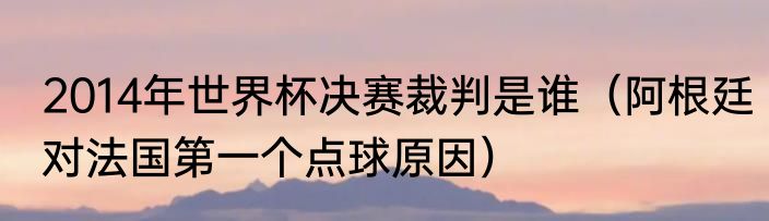 2014年世界杯决赛裁判是谁（阿根廷对法国第一个点球原因）