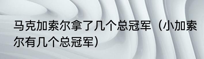 马克加索尔拿了几个总冠军（小加索尔有几个总冠军）