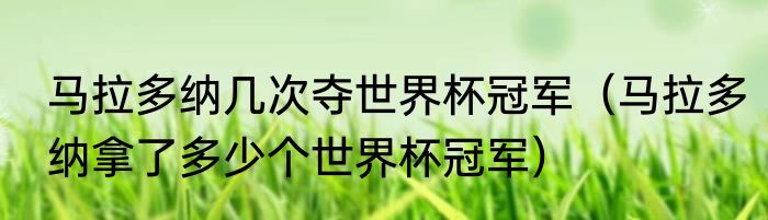 马拉多纳几次夺世界杯冠军（马拉多纳拿了多少个世界杯冠军）