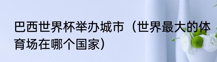 巴西世界杯举办城市（世界最大的体育场在哪个国家）