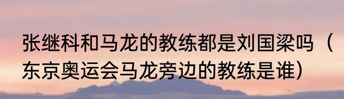 张继科和马龙的教练都是刘国梁吗（东京奥运会马龙旁边的教练是谁）