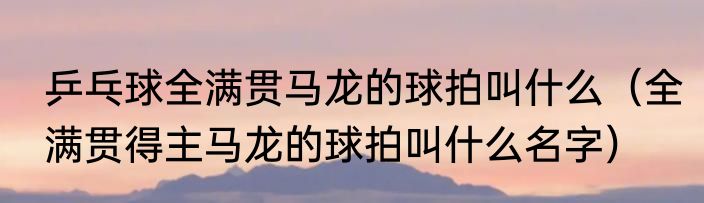 乒乓球全满贯马龙的球拍叫什么（全满贯得主马龙的球拍叫什么名字）