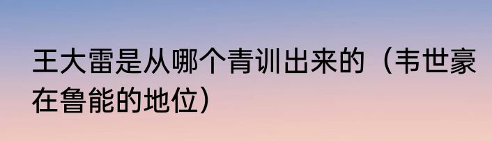 王大雷是从哪个青训出来的（韦世豪在鲁能的地位）