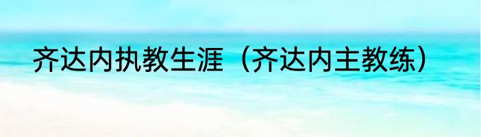 齐达内执教生涯（齐达内主教练）