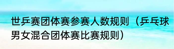 世乒赛团体赛参赛人数规则（乒乓球男女混合团体赛比赛规则）