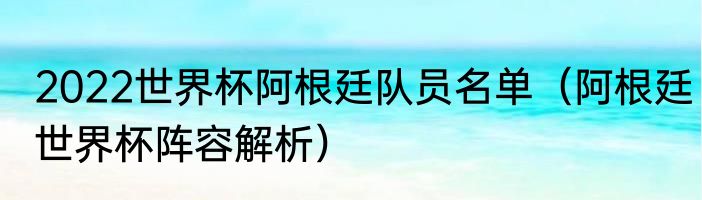 2022世界杯阿根廷队员名单（阿根廷世界杯阵容解析）