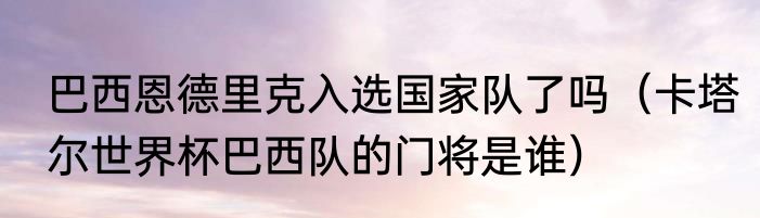巴西恩德里克入选国家队了吗（卡塔尔世界杯巴西队的门将是谁）