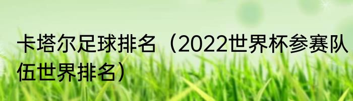 卡塔尔足球排名（2022世界杯参赛队伍世界排名）