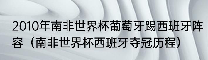 2010年南非世界杯葡萄牙踢西班牙阵容（南非世界杯西班牙夺冠历程）