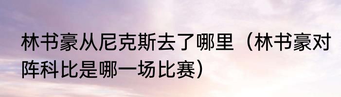林书豪从尼克斯去了哪里（林书豪对阵科比是哪一场比赛）