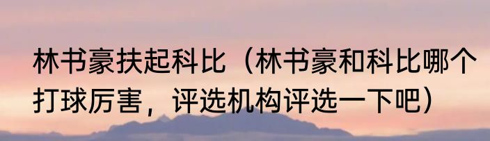 林书豪扶起科比（林书豪和科比哪个打球厉害，评选机构评选一下吧）