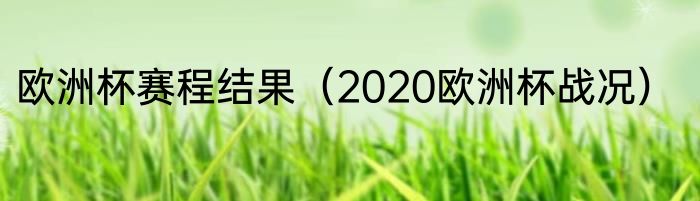 欧洲杯赛程结果（2020欧洲杯战况）