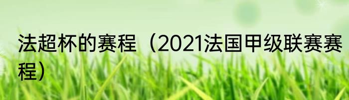 法超杯的赛程（2021法国甲级联赛赛程）