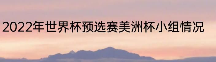 2022年世界杯预选赛美洲杯小组情况