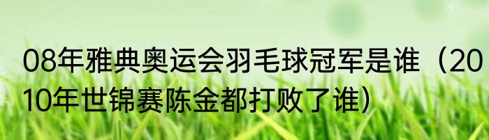 08年雅典奥运会羽毛球冠军是谁（2010年世锦赛陈金都打败了谁）