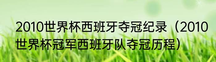 2010世界杯西班牙夺冠纪录（2010世界杯冠军西班牙队夺冠历程）