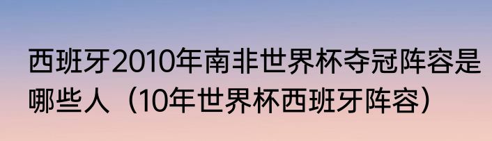 西班牙2010年南非世界杯夺冠阵容是哪些人（10年世界杯西班牙阵容）