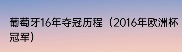 葡萄牙16年夺冠历程（2016年欧洲杯冠军）