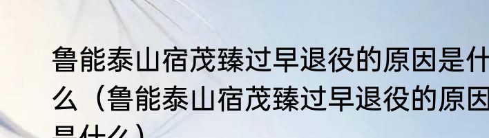 鲁能泰山宿茂臻过早退役的原因是什么（鲁能泰山宿茂臻过早退役的原因是什么）