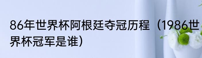 86年世界杯阿根廷夺冠历程（1986世界杯冠军是谁）