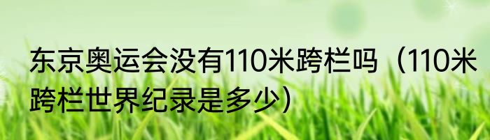东京奥运会没有110米跨栏吗（110米跨栏世界纪录是多少）