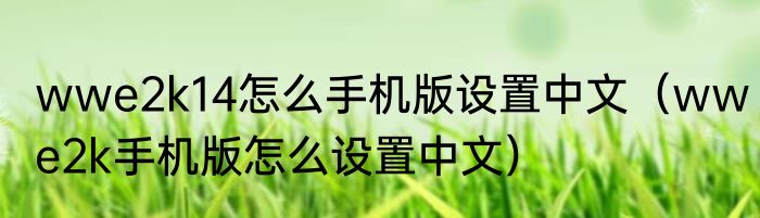wwe2k14怎么手机版设置中文（wwe2k手机版怎么设置中文）