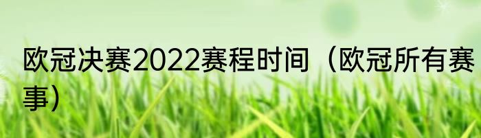 欧冠决赛2022赛程时间（欧冠所有赛事）