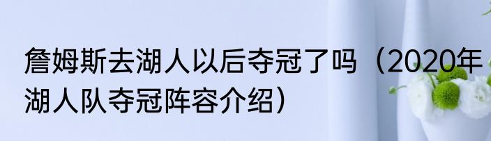 詹姆斯去湖人以后夺冠了吗（2020年湖人队夺冠阵容介绍）