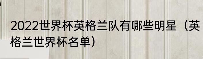 2022世界杯英格兰队有哪些明星(英格兰世界杯名单)