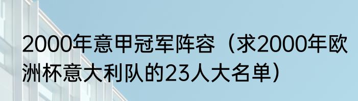 2000年意甲冠军阵容（求2000年欧洲杯意大利队的23人大名单）