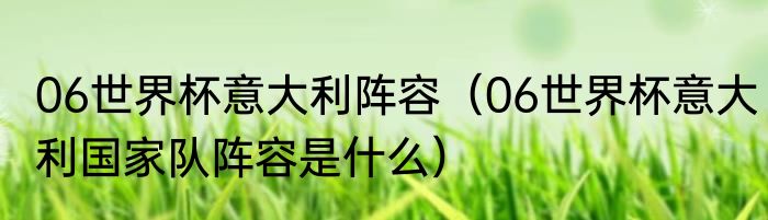 06世界杯意大利阵容（06世界杯意大利国家队阵容是什么）